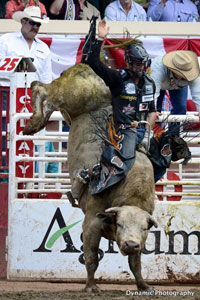 Calgary Stampede